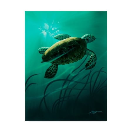 D. Rusty Rust 'Green Sea Turtle ' Canvas Art,35x47